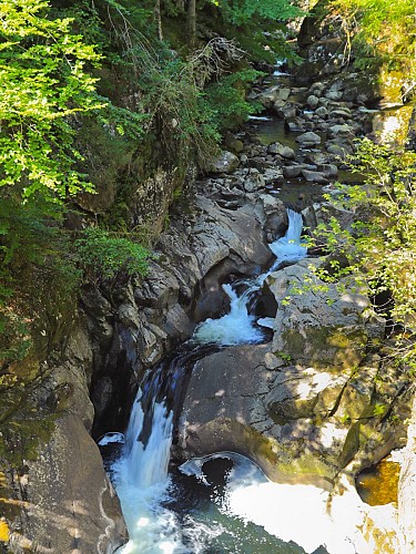 Circuit n° 10 : La forêt de Gravières_Lanobre