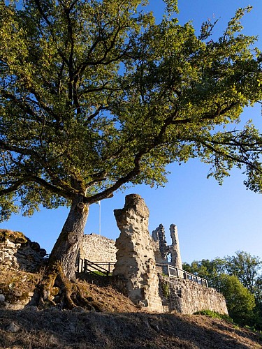 Circuit n° 12 : Beaulieu - Thynières_Beaulieu