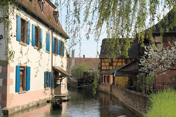 Rundgang durch Ebersmunster