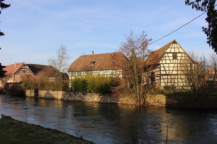 Le Ladhof depuis les berges de l'Ill