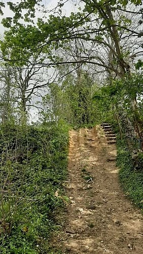 Belle montée, avec rampe et escalier...