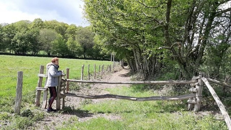 Saint-Lubin-des-Cinq-Fonts