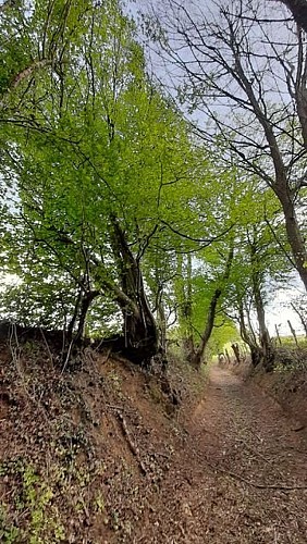 Saint-Lubin-des-Cinq-Fonts