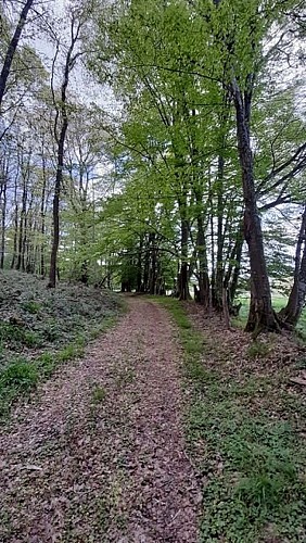 Saint-Lubin-des-Cinq-Fonts