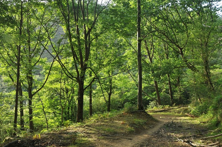 Sentier des douaniers