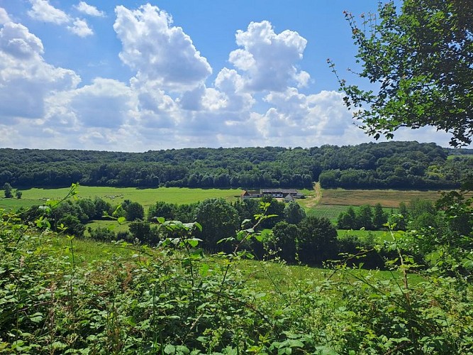 En longeant la Cloche