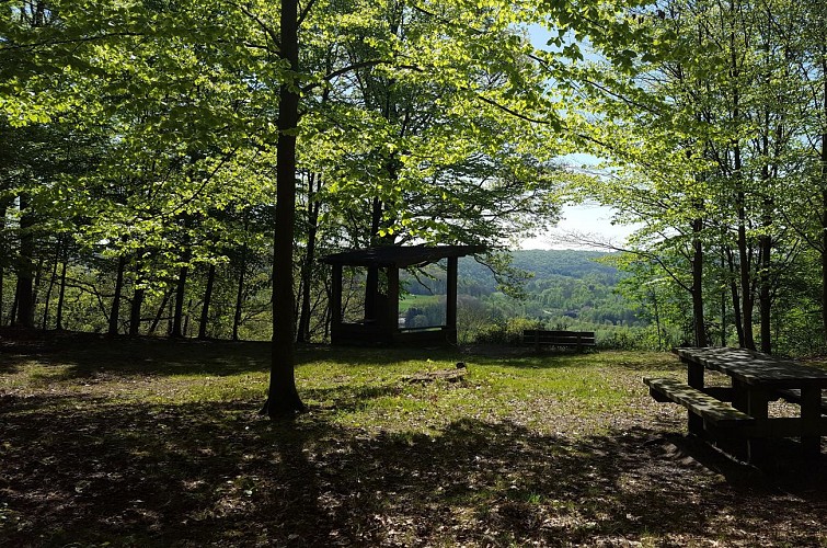 Promenade dans les bois, Panorama trou d'Aulne à Fontaine-l'Evêque