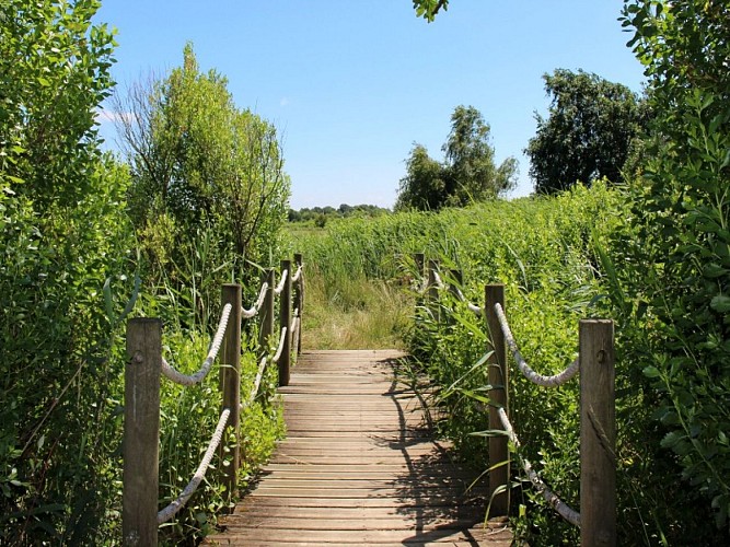 Domaine de Fleury