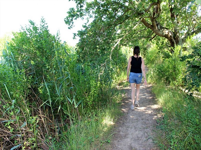 Domaine de Fleury