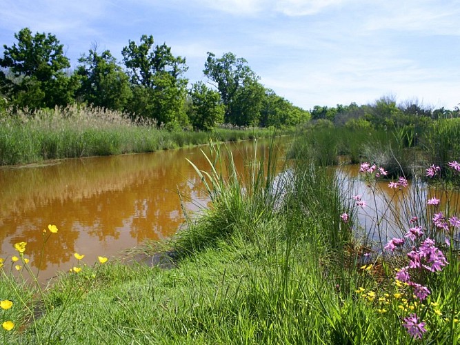 Domaine de Fleury