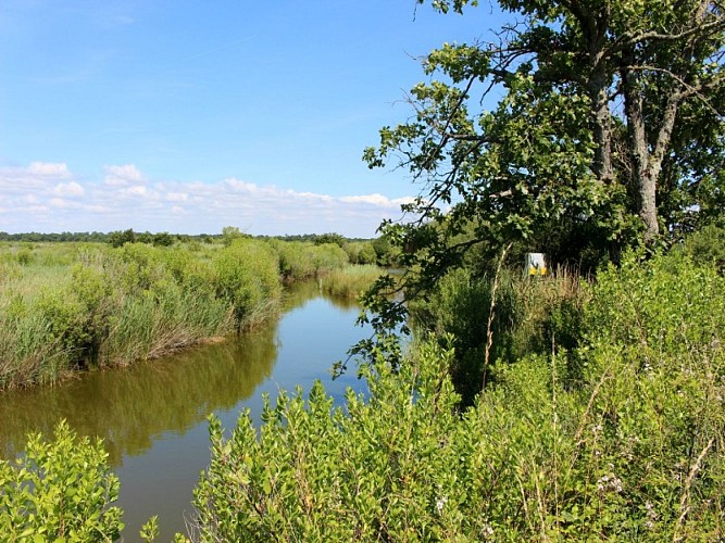 Domaine de Fleury