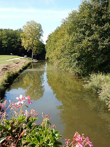 Canal et Brin d'Amour
