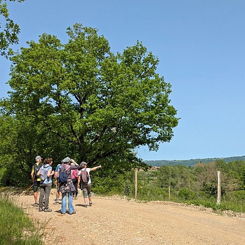 Randonneurs à côté du Trou de Gargantua