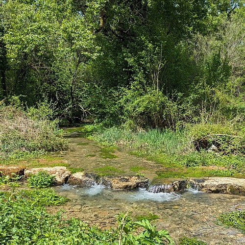 Sources de la Diège