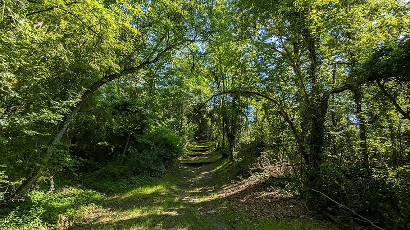 Ruelle Sainte Geneviève II