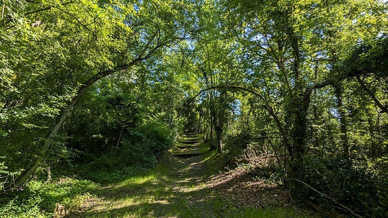 Ruelle Sainte Geneviève II