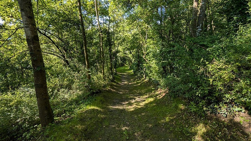 Ruelle Sainte Geneviève I