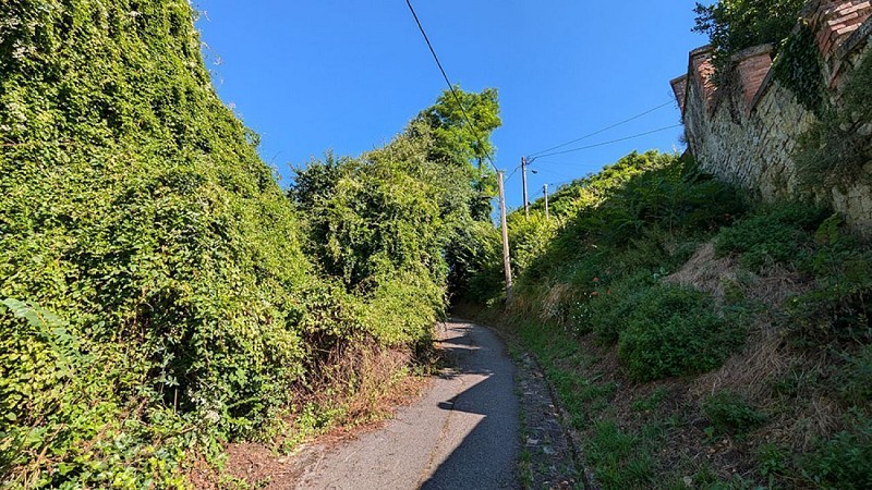 Grimpette du Mont d'Ardon II