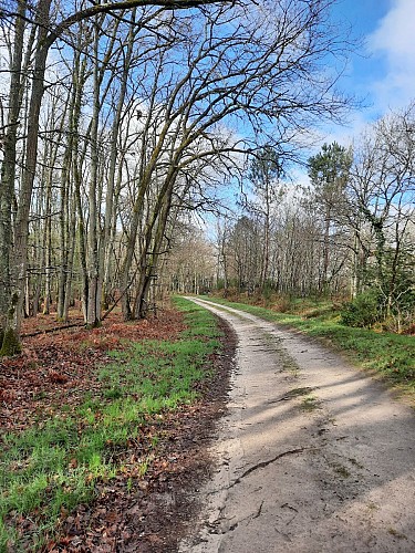 Promenade de Centimaisons