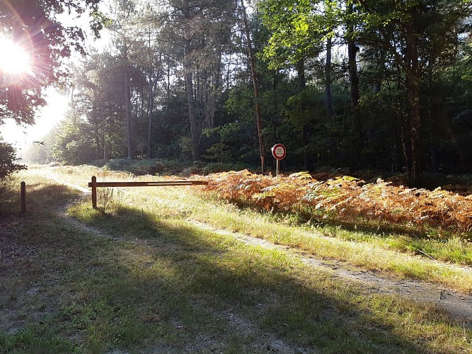 Promenade de Centimaisons