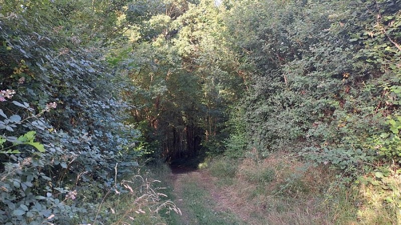 Balade autour de la Berthe