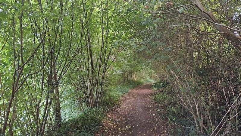 Balade autour de la Berthe