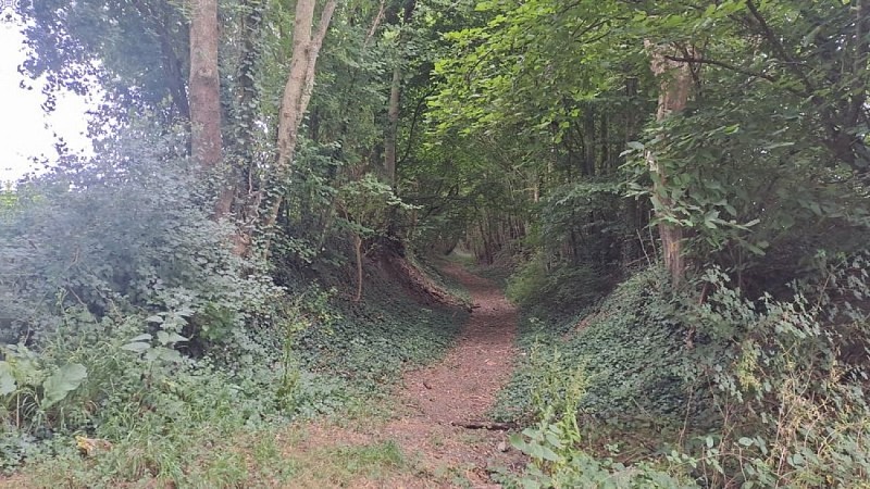 Balade autour de la Berthe