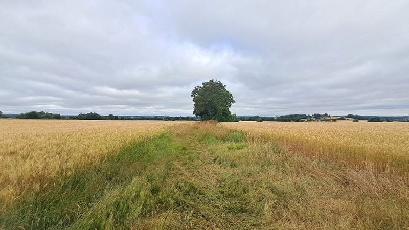 Balade autour de la Berthe