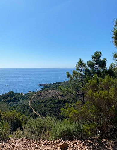 Montée vers la pointe du Mont Uzel