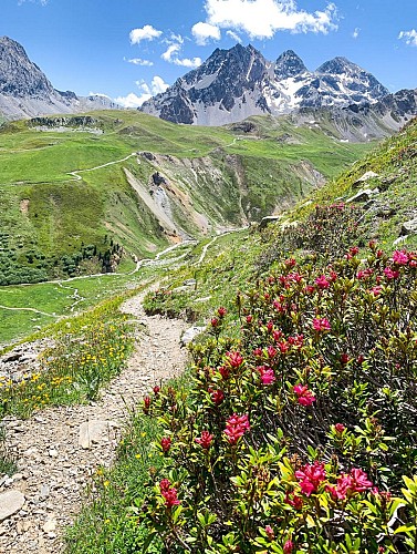 Col des sarrasins