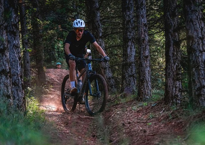 La forêt de St Thomas