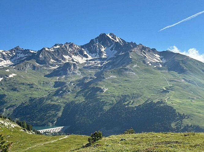 La Dent Parrachée (vue du Col du Barbier