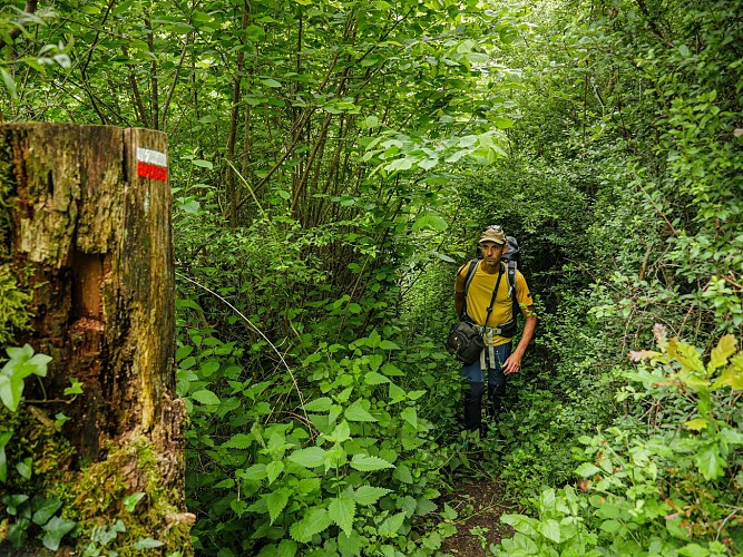 Corrèze Tourisme_GR46_Sur le GR_© David Genestal_juin 2024