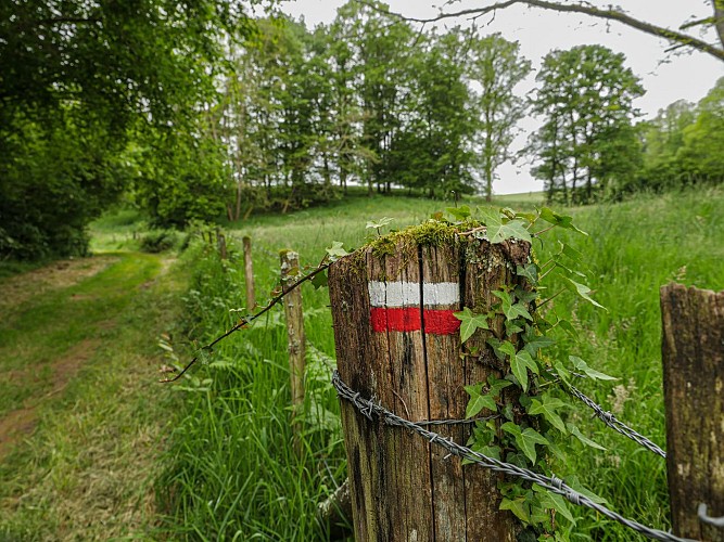 Corrèze Tourisme_GR46_Balisage_© David Genestal_juin 2024