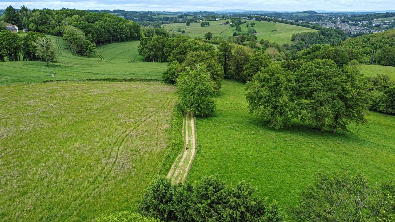 Corrèze Tourisme_GR46_Sentier après Uzerche_© David Genestal_juin 2024