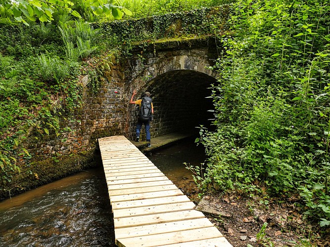 Corrèze Tourisme_GR46_Ruisseau d'Anglard_© David Genestal_juin 2024