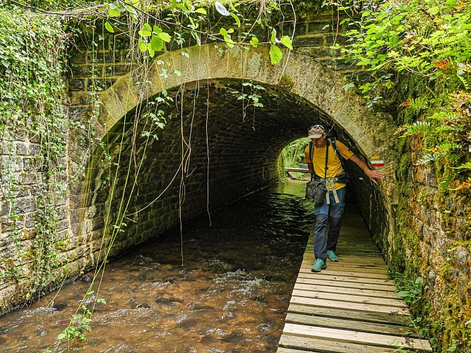 Corrèze Tourisme_GR46_Ruisseau d'Anglard (3)_© David Genestal_juin 2024