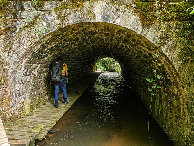 Corrèze Tourisme_GR46_Ruisseau d'Anglard (2)_© David Genestal_juin 2024