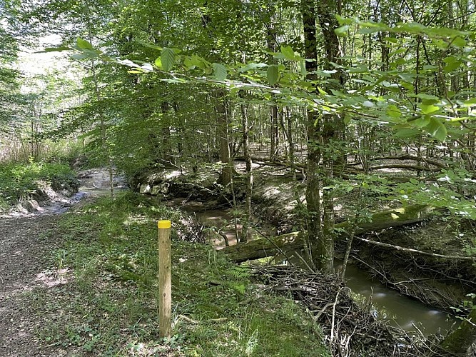 Boucle-St-Sauveur-La-Salvatorienne(1)