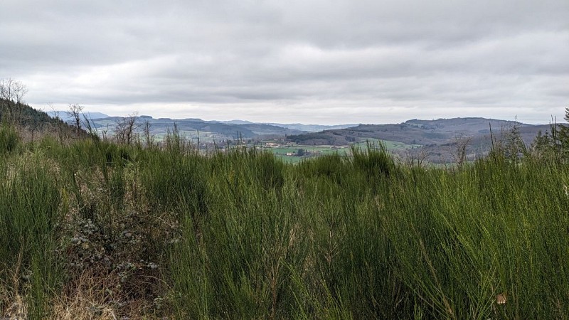 Saint Jacques de Compostelle @A. Sève _ Cluny Sud Bourgogne WEB(45)