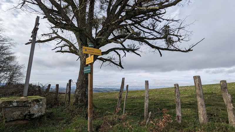 Saint Jacques de Compostelle @A. Sève _ Cluny Sud Bourgogne WEB(57)