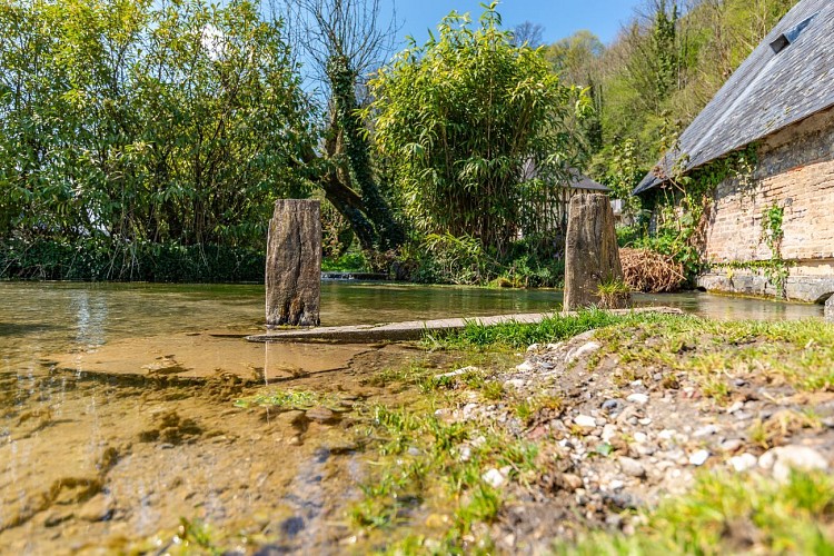 Circuit 5 : Le loup et le Goupil