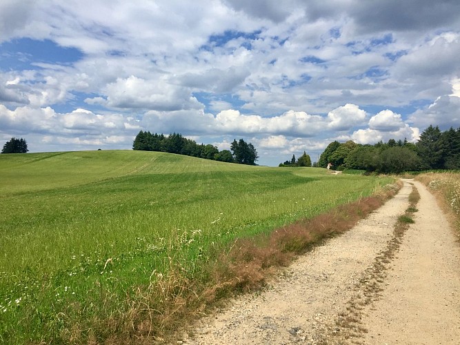 Circuit Cheissoux (9) © OT Portes de Vassivière, SP