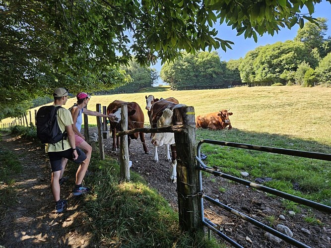 La combe Lambert - vers Bois du Seigneur_Montrevel