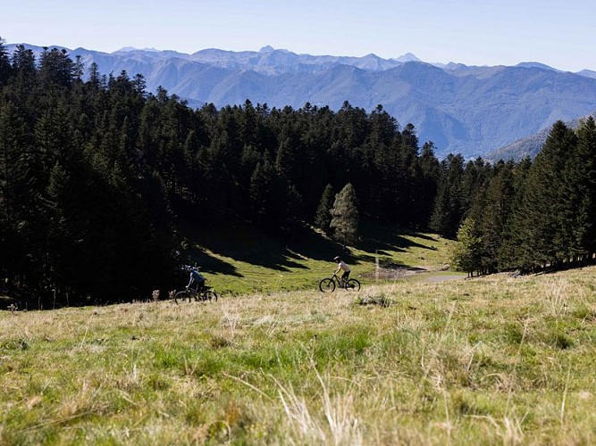 Traversée des pistes au Mourtis