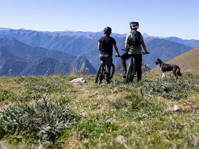 Vue sur le massif de la Maladeta accompagné du chien de berger