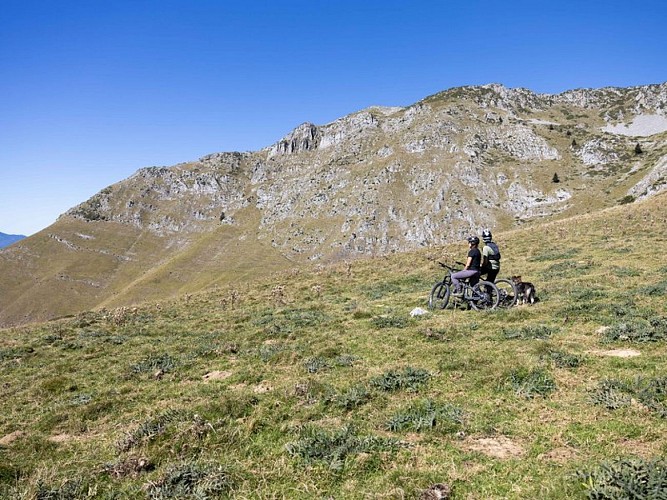 Vue sur un mail accompagné de son chien de troupeau