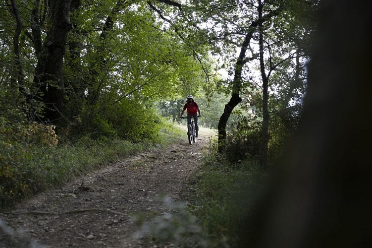 La tour du Barry (8)