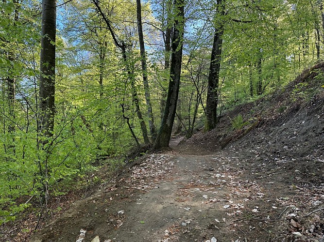 FLOW TRAIL D'INITATION DU COL DE LARRIEU