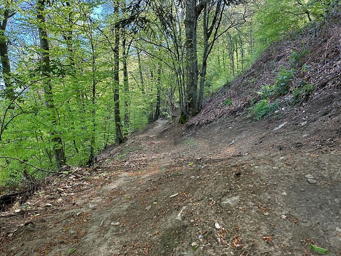 FLOW TRAIL D'INITATION DU COL DE LARRIEU